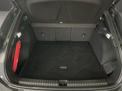 Cupra Terramar Gebrauchtwagen