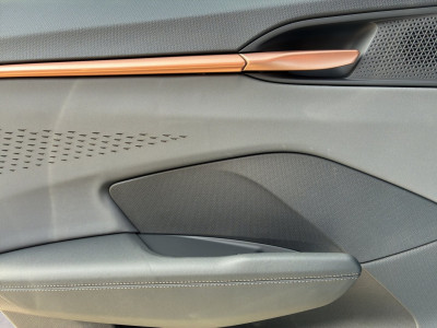 Cupra Terramar Gebrauchtwagen