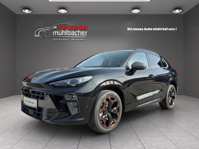 Cupra Terramar Gebrauchtwagen