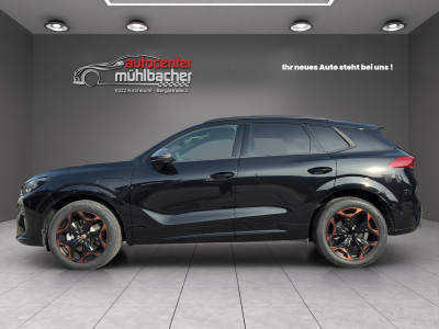 Cupra Terramar Gebrauchtwagen