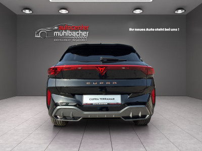 Cupra Terramar Gebrauchtwagen