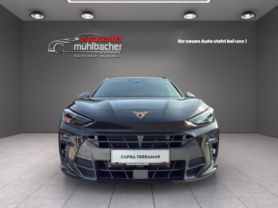 Cupra Terramar Gebrauchtwagen