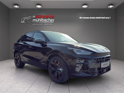 Cupra Terramar Gebrauchtwagen