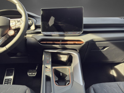 Cupra Terramar Gebrauchtwagen