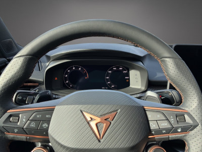 Cupra Terramar Gebrauchtwagen