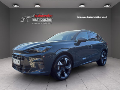 Cupra Terramar Gebrauchtwagen Cupra Terramar Gebrauchtwagen