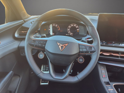 Cupra Terramar Gebrauchtwagen Cupra Terramar Gebrauchtwagen