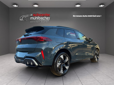 Cupra Terramar Gebrauchtwagen Cupra Terramar Gebrauchtwagen