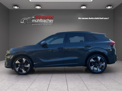 Cupra Terramar Gebrauchtwagen Cupra Terramar Gebrauchtwagen