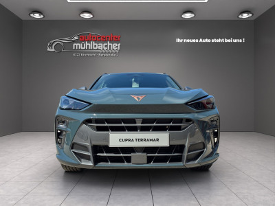 Cupra Terramar Gebrauchtwagen