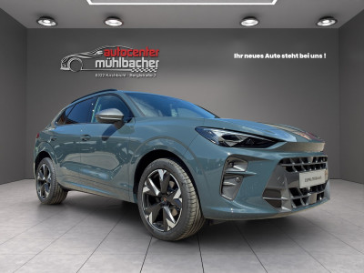Cupra Terramar Gebrauchtwagen