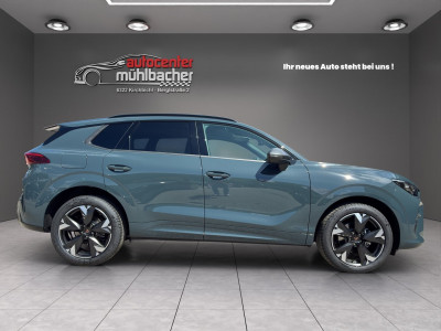 Cupra Terramar Gebrauchtwagen