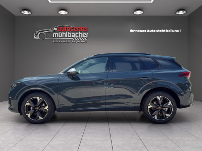 Cupra Terramar Gebrauchtwagen