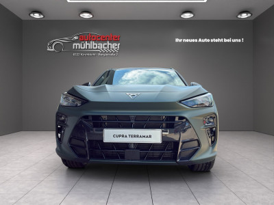 Cupra Terramar Gebrauchtwagen Cupra Terramar Gebrauchtwagen