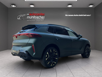 Cupra Terramar Gebrauchtwagen Cupra Terramar Gebrauchtwagen