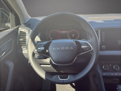 Skoda Karoq Gebrauchtwagen Skoda Karoq Gebrauchtwagen