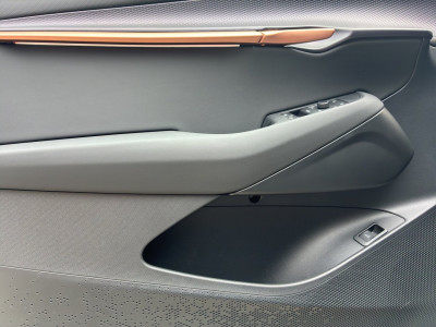 Cupra Tavascan Gebrauchtwagen Cupra Tavascan Gebrauchtwagen