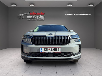 Skoda Kodiaq Gebrauchtwagen Skoda Kodiaq Gebrauchtwagen