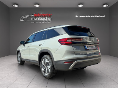 Skoda Kodiaq Gebrauchtwagen Skoda Kodiaq Gebrauchtwagen