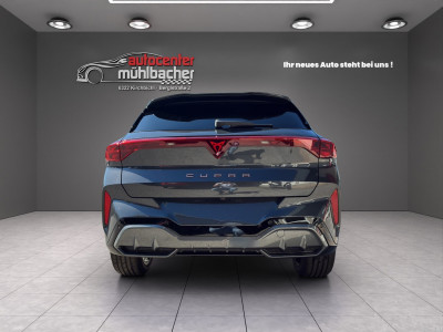 Cupra Terramar Gebrauchtwagen Cupra Terramar Gebrauchtwagen