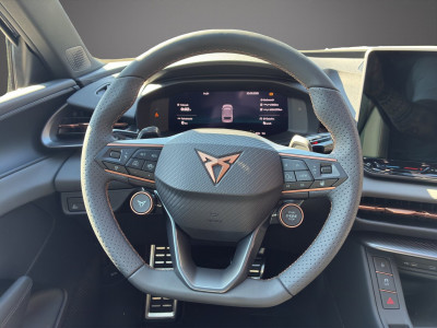 Cupra Terramar Gebrauchtwagen Cupra Terramar Gebrauchtwagen