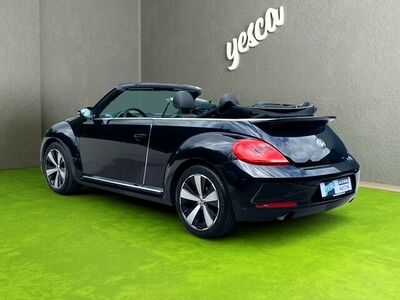 VW Beetle Gebrauchtwagen