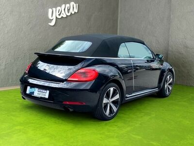 VW Beetle Gebrauchtwagen