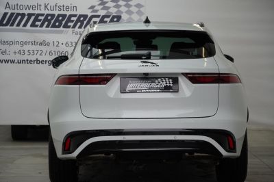 Jaguar F-Pace Gebrauchtwagen