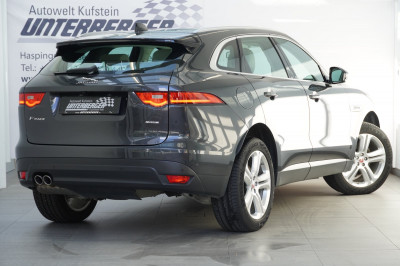 Jaguar F-Pace Gebrauchtwagen