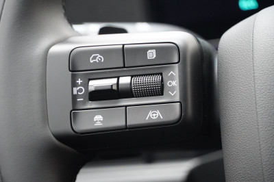 Hyundai Santa Fe Vorführwagen