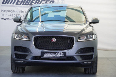 Jaguar F-Pace Gebrauchtwagen