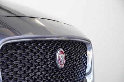 Jaguar F-Pace Gebrauchtwagen