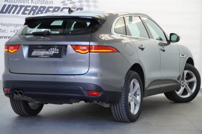 Jaguar F-Pace Gebrauchtwagen
