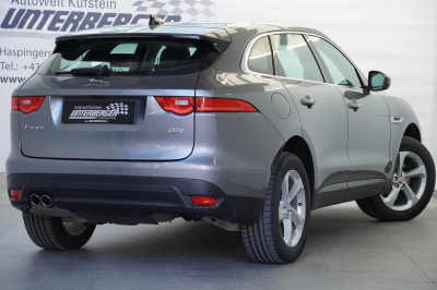 Jaguar F-Pace Gebrauchtwagen