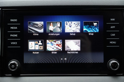 Skoda Karoq Gebrauchtwagen