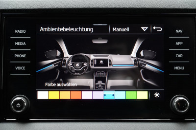 Skoda Karoq Gebrauchtwagen