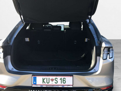 Ford Mustang Mach-E Gebrauchtwagen Ford Mustang Mach-E Gebrauchtwagen