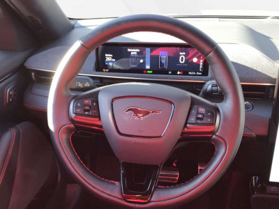 Ford Mustang Mach-E Gebrauchtwagen Ford Mustang Mach-E Gebrauchtwagen