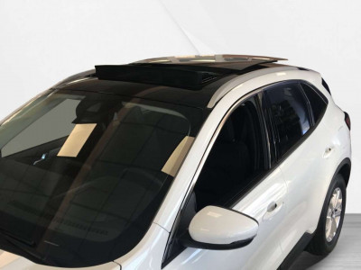 Ford Kuga Vorführwagen Ford Kuga Vorführwagen