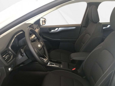 Ford Kuga Vorführwagen Ford Kuga Vorführwagen