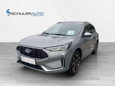 Ford Kuga Vorführwagen