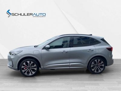 Ford Kuga Vorführwagen Ford Kuga Vorführwagen