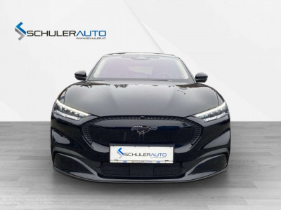 Ford Mustang Mach-E Gebrauchtwagen Ford Mustang Mach-E Gebrauchtwagen