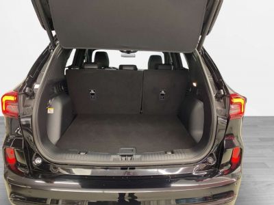 Ford Kuga Vorführwagen