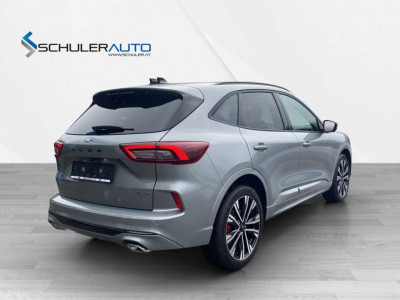 Ford Kuga Vorführwagen