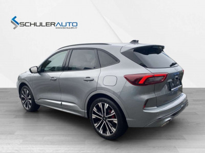 Ford Kuga Vorführwagen