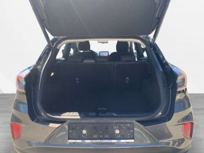 Ford Puma Gebrauchtwagen Ford Puma Gebrauchtwagen
