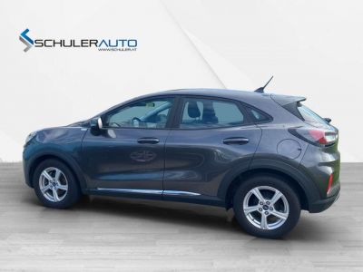 Ford Puma Gebrauchtwagen Ford Puma Gebrauchtwagen
