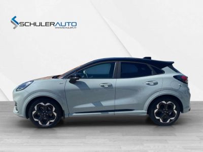 Ford Puma Gebrauchtwagen Ford Puma Gebrauchtwagen