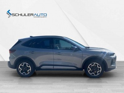 Ford Kuga Gebrauchtwagen Ford Kuga Gebrauchtwagen
